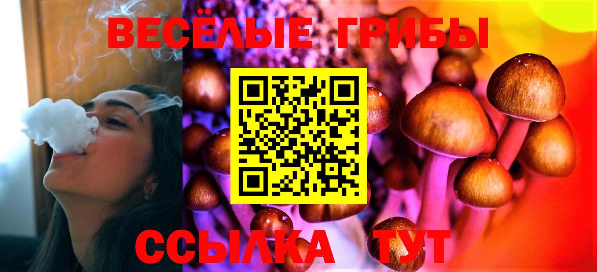 Галлюциногенные грибы Cubensis Черногорск